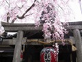 雨宝院