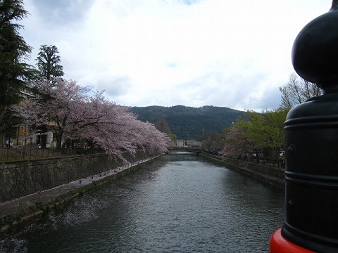 岡崎公園周辺