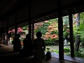 蓮華寺