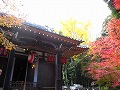 赤山禅院