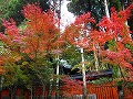 赤山禅院