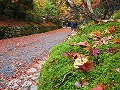 赤山禅院