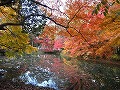 京都府立植物園