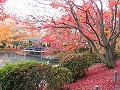 京都府立植物園