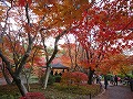 京都府立植物園