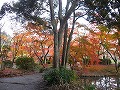 京都府立植物園