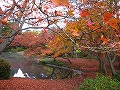 京都府立植物園