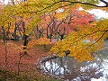 京都府立植物園