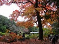 京都府立植物園