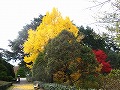 京都府立植物園