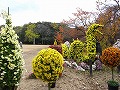 京都府立植物園