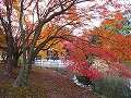 京都府立植物園