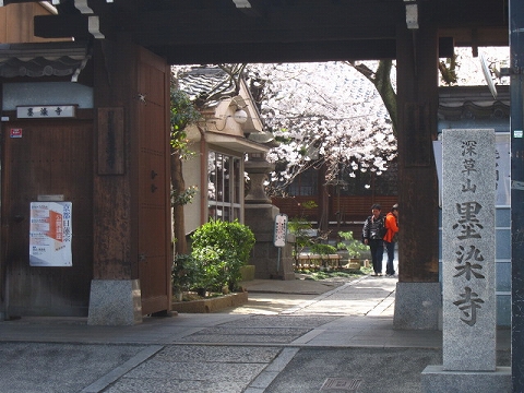 墨染寺