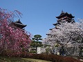 桃山城と伏見城