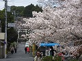 宗忠神社