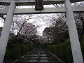 宗忠神社