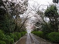 宗忠神社