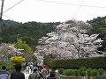 若王子神社