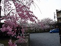 六孫王神社