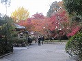 鷺森神社