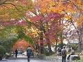 鷺森神社